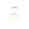 Reality Ventilateur de plafond LED Moss, blanc réglable 2700-6500 Kelvin, 6 vitesses