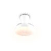 Reality Ventilateur LED Boras, blanc réglable 2700-6500 Kelvin, dimmable, télécommande