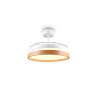 Reality Ventilateur de plafond LED Volda, blanc réglable 2700-6500 Kelvin, télécommandé