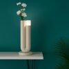 Brilliant Leuchten Lampe à poser Sayu LED à double tube beige, 2700 Kelvin blanc chaud