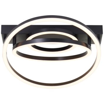 Brilliant, plafonnier LED Pedley à cercles concentriques, 3000 Kelvin blanc chaud