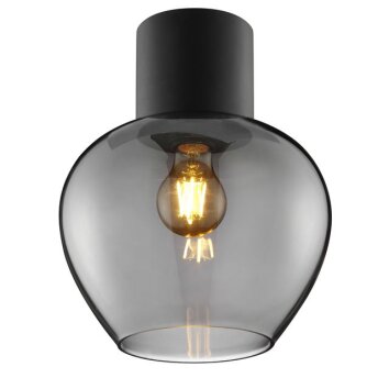 Brilliant Plafonnier Ligari moderne en forme de goutte avec abat-jour en verre fumé