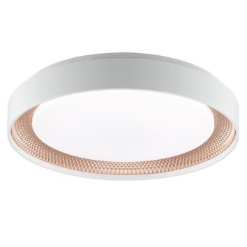 Brilliant plafonnier LED Waldo, dimmable par télécommande, blanc réglable 3000-6500 Kelvin