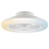 Brilliant plafonnier avec ventilateur LED Montero, blanc réglable 2700-6500 Kelvin