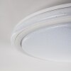 Plafonnier BERMEO LED Blanc, 2 lumières, Télécommandes, Changeur de couleurs