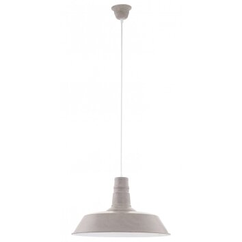 Lampe suspendue Eglo SOMERTON 1 Gris, Blanc, 1 lumière