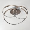 Plafonnier Chute LED Nickel mat, 1 lumière