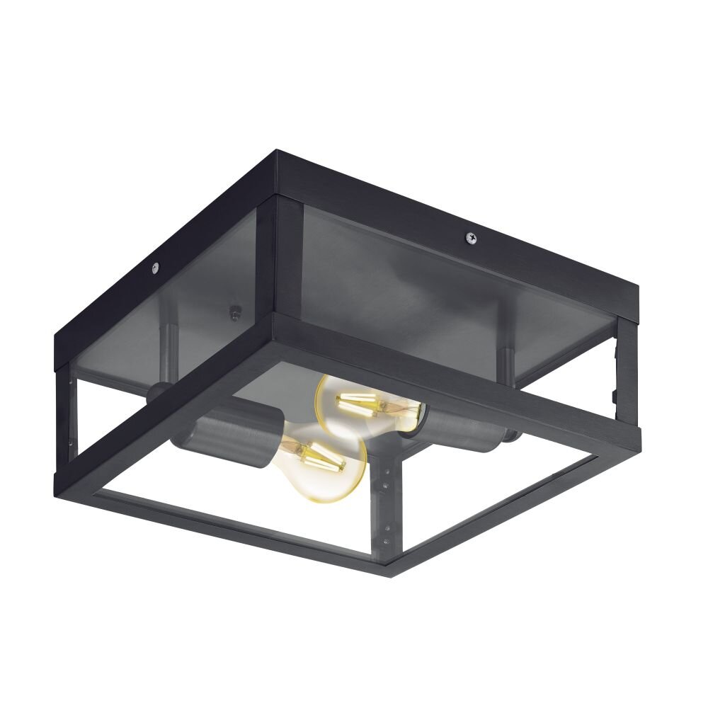 Plafonnier Eglo ALAMONTE 1 Noir, 2 lumières main product photo
