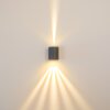 Applique murale d'extérieur Mora LED Gris, 2 lumières