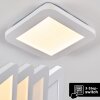 Plafonnier Siguna LED Blanc, 1 lumière