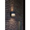 Applique murale d'extérieur Lutec Lotus LED Anthracite, 1 lumière