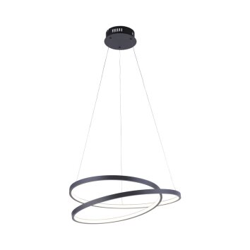 Suspension Paul Neuhaus ROMAN LED Noir, 1 lumière