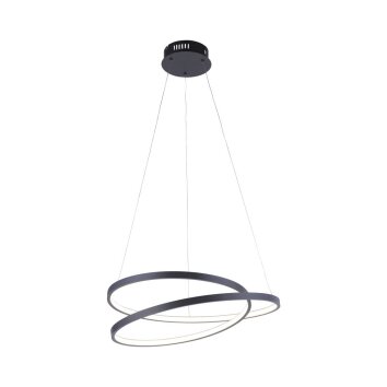 Suspension Paul Neuhaus ROMAN LED Noir, 1 lumière