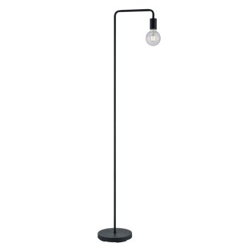 Lampadaire Trio Leuchten DIALLO Noir, 1 lumière