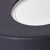 Applique murale d'extérieur Windhoek LED, 2 lumières