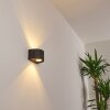 Applique murale d'extérieur Windhoek LED Anthracite, 2 lumières