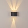 Applique murale d'extérieur Windhoek LED Anthracite, 2 lumières