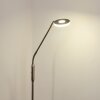 Lampadaire Gulkana LED Nickel mat, 1 lumière, Changeur de couleurs