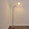 Lampadaire Gulkana LED Nickel mat, 1 lumière, Changeur de couleurs