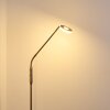 Lampadaire Gulkana LED Nickel mat, 1 lumière, Changeur de couleurs