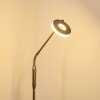 Lampadaire Gulkana LED Nickel mat, 1 lumière, Changeur de couleurs