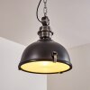 Suspension Ilvy LED Noir, 1 lumière