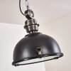 Suspension Ilvy LED Noir, 1 lumière