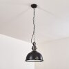 Suspension Ilvy LED Noir, 1 lumière