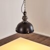 Suspension Ilvy LED Noir, 1 lumière