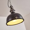 Suspension Ilvy LED Noir, 1 lumière