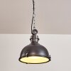 Suspension Ilvy LED Noir, 1 lumière