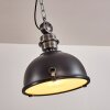 Suspension Ilvy LED Noir, 1 lumière