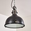 Suspension Ilvy LED Noir, 1 lumière