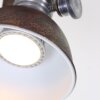 Spot Steinhauer BROOKLY LED Brun, 2 lumières