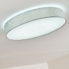 Plafonnier Tallaboa LED Argenté, 1 lumière, Télécommandes