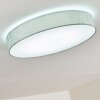 Plafonnier Tallaboa LED Argenté, 1 lumière, Télécommandes