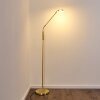 Lampadaire Gulkana LED Or, 1 lumière