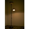 Lampadaire Wofi LACCHINO Brun, Brun foncé, Rouille, 2 lumières