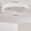 Plafonnier Rufi LED Blanc, 1 lumière, Télécommandes
