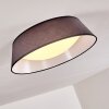 Plafonnier Negio LED Gris, Blanc, 1 lumière