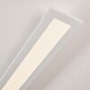 Plafonnier Ailik LED Blanc, 1 lumière, Télécommandes
