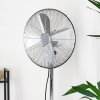 Ventilateur Mahon Chrome