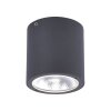 Plafonnier Paul Neuhaus GEORG LED Anthracite, 1 lumière