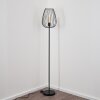 Lampadaire Luano Noir, 1 lumière