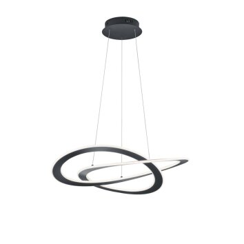 Suspension Trio OAKLAND LED Anthracite, 1 lumière