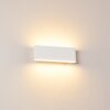 Applique murale Mosambik LED Blanc, 1 lumière