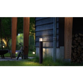 Borne lumineuse Philips Stock LED Anthracite, 1 lumière