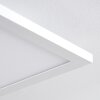 Plafonnier Bankura LED Blanc, 1 lumière, Télécommandes, Changeur de couleurs