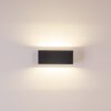 Applique murale d'extérieur GEMINI LED Anthracite, 1 lumière