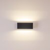 Applique murale d'extérieur GEMINI LED Anthracite, 1 lumière